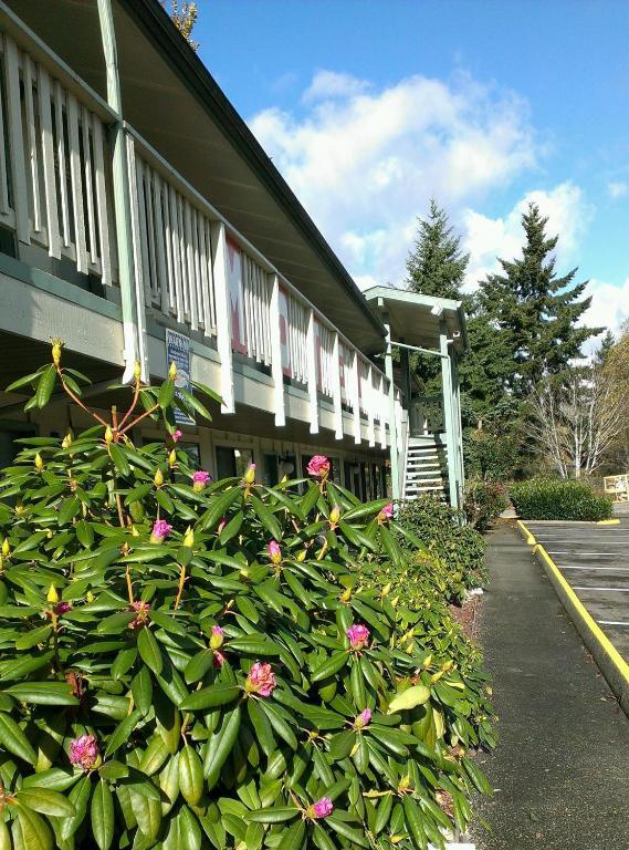 Motel Пуйаллап Экстерьер фото